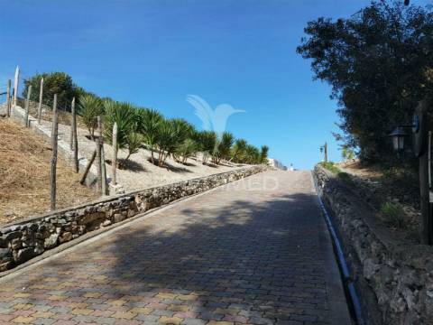 Quinta da torre à venda em torre do bispo - santarém
