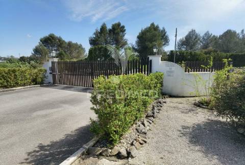 Quinta da torre à venda em torre do bispo - santarém