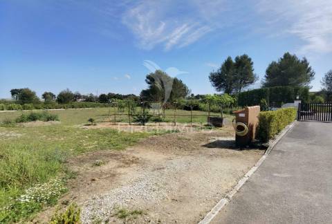 Quinta da torre à venda em torre do bispo - santarém