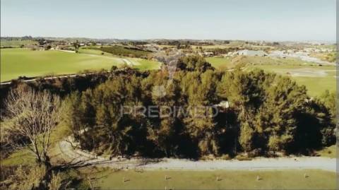 Quinta da torre à venda em torre do bispo - santarém