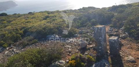 Lote de terreno com 40ha em sesimbra