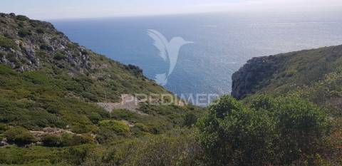 Lote de terreno com 40ha em sesimbra