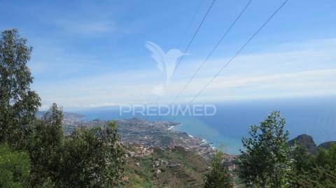  terreno em câmara de lobos 700m2 