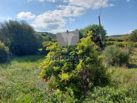 Terreno agrícola 2600m2 com árvores e água em silves
