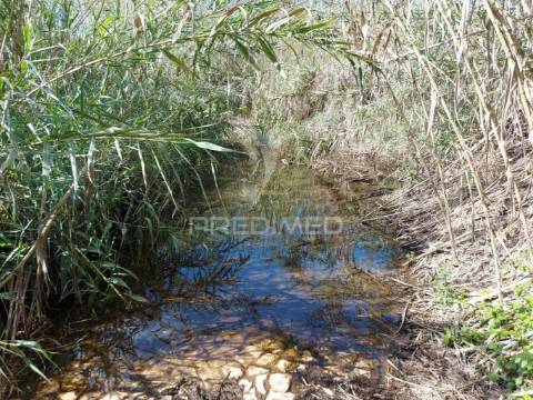 Terreno agrícola 2600m2 com árvores e água em silves
