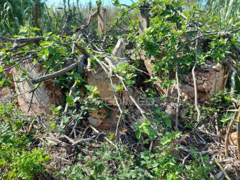 Terreno agrícola 2600m2 com árvores e água em silves