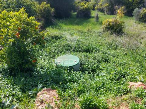 Terreno agrícola 2600m2 com árvores e água em silves