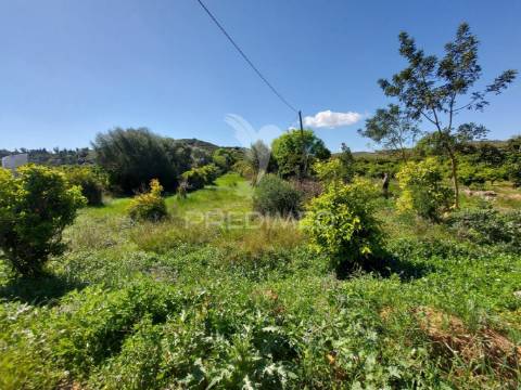 Terreno agrícola 2600m2 com árvores e água em silves