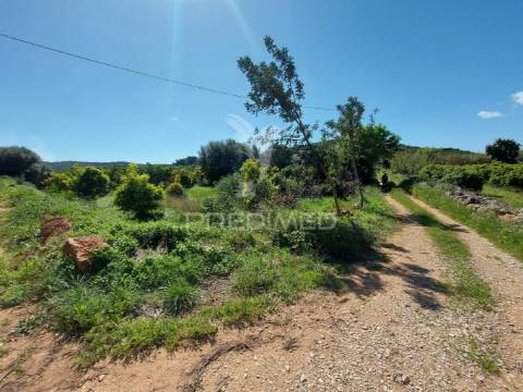 Terreno agrícola 2600m2 com árvores e água em silves