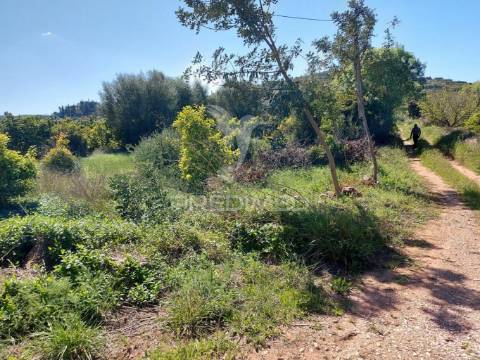Terreno agrícola 2600m2 com árvores e água em silves