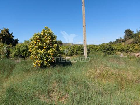 Terreno agrícola 2600m2 com árvores e água em silves