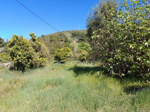 Terreno agrícola 2600m2 com árvores e água em silves