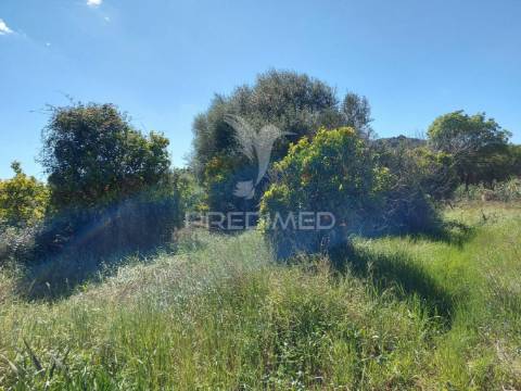 Terreno agrícola 2600m2 com árvores e água em silves