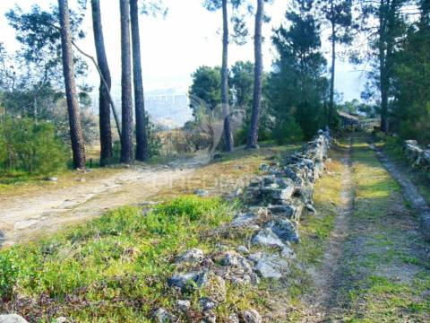 Terreno na cumieira / santa marta de penaguião