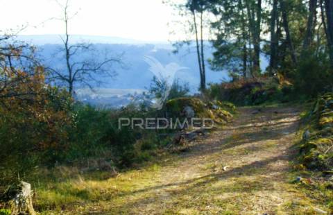Terreno na cumieira / santa marta de penaguião