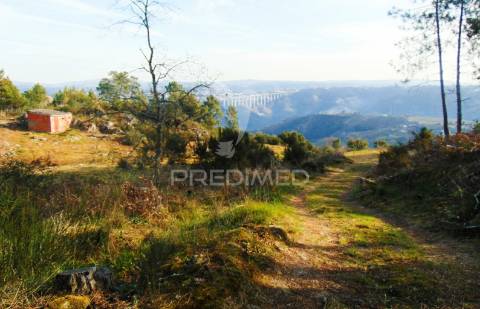 Terreno na cumieira / santa marta de penaguião