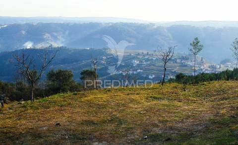 Terreno na cumieira / santa marta de penaguião