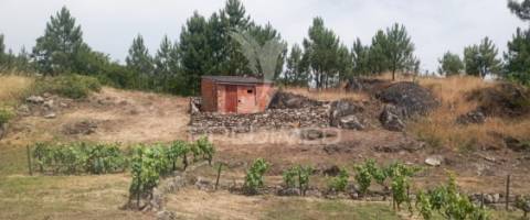 Terreno na cumieira / santa marta de penaguião