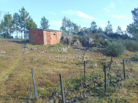 Terreno na cumieira / santa marta de penaguião