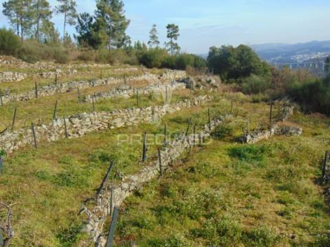 Terreno na cumieira / santa marta de penaguião