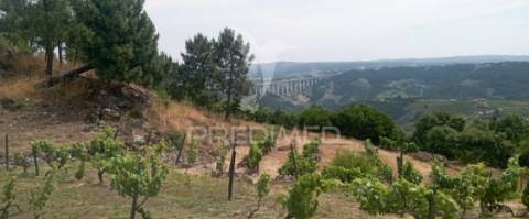 Terreno na cumieira / santa marta de penaguião