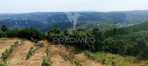 Terreno na cumieira / santa marta de penaguião