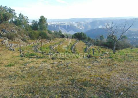 Terreno na cumieira / santa marta de penaguião