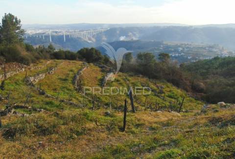 Terreno na cumieira / santa marta de penaguião