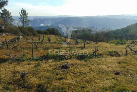 Terreno na cumieira / santa marta de penaguião