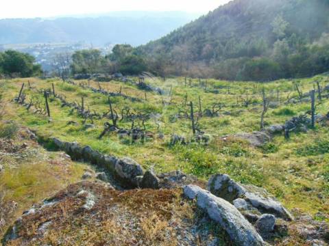 Terreno na cumieira / santa marta de penaguião