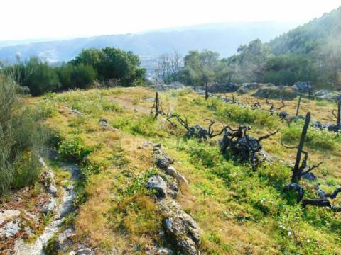 Terreno na cumieira / santa marta de penaguião