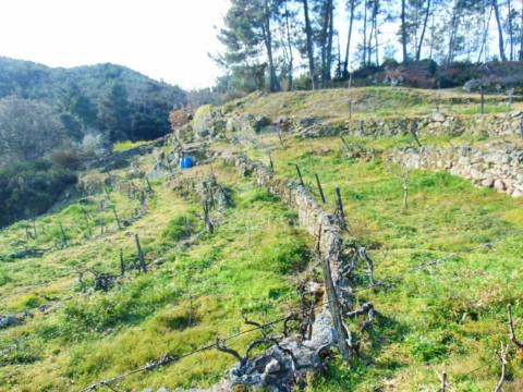 Terreno na cumieira / santa marta de penaguião
