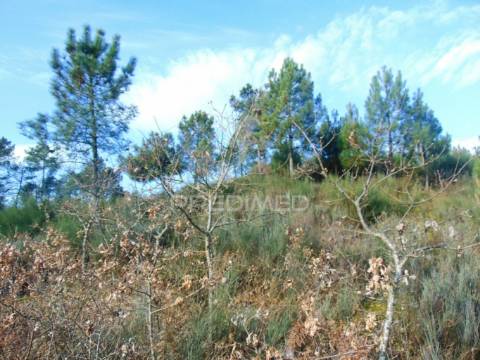Terreno na cumieira / santa marta de penaguião