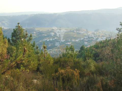 Terreno na cumieira / santa marta de penaguião
