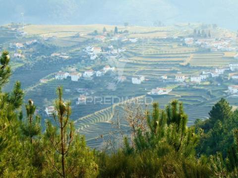 Terreno na cumieira / santa marta de penaguião