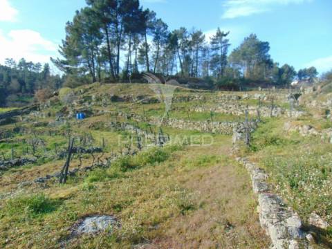 Terreno na cumieira / santa marta de penaguião