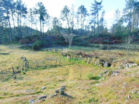 Terreno na cumieira / santa marta de penaguião