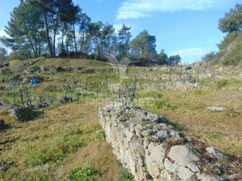 Terreno na cumieira / santa marta de penaguião