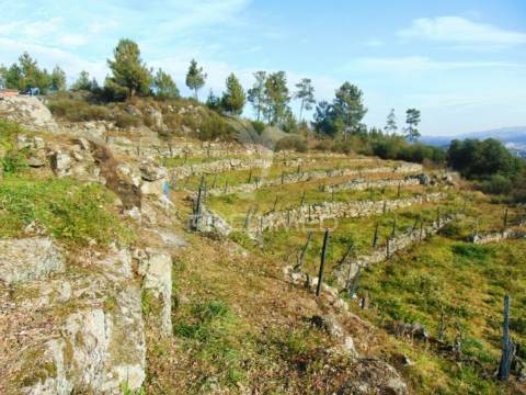 Terreno na cumieira / santa marta de penaguião