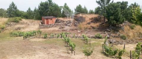 Terreno na cumieira / santa marta de penaguião