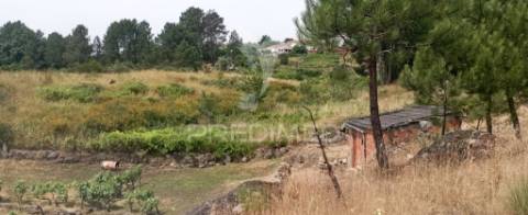 Terreno na cumieira / santa marta de penaguião