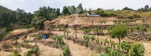 Terreno na cumieira / santa marta de penaguião