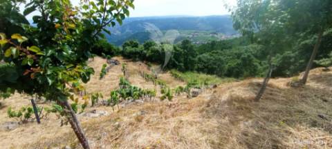 Terreno na cumieira / santa marta de penaguião
