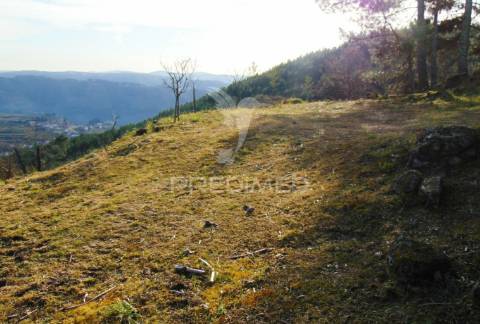 Terreno na cumieira / santa marta de penaguião