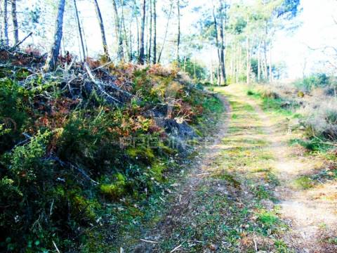 Terreno na cumieira / santa marta de penaguião