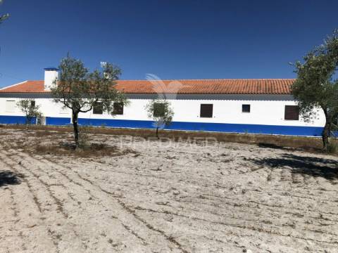 Monte alentejano, 8,2ha, grândola