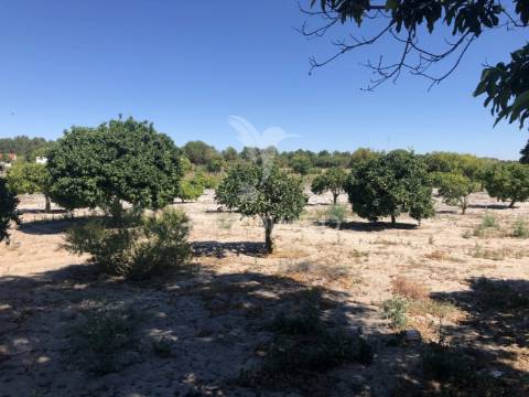 Monte alentejano, 8,2ha, grândola