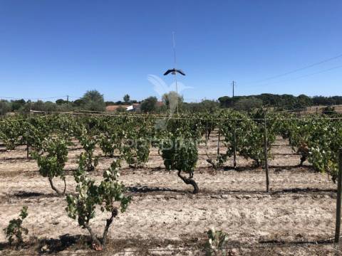 Monte alentejano, 8,2ha, grândola