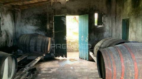 Terreno rústico 2147m2 na ponta do sol - ilha da madeira