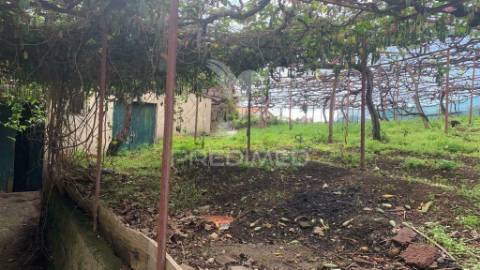 Terreno rústico 2147m2 na ponta do sol - ilha da madeira